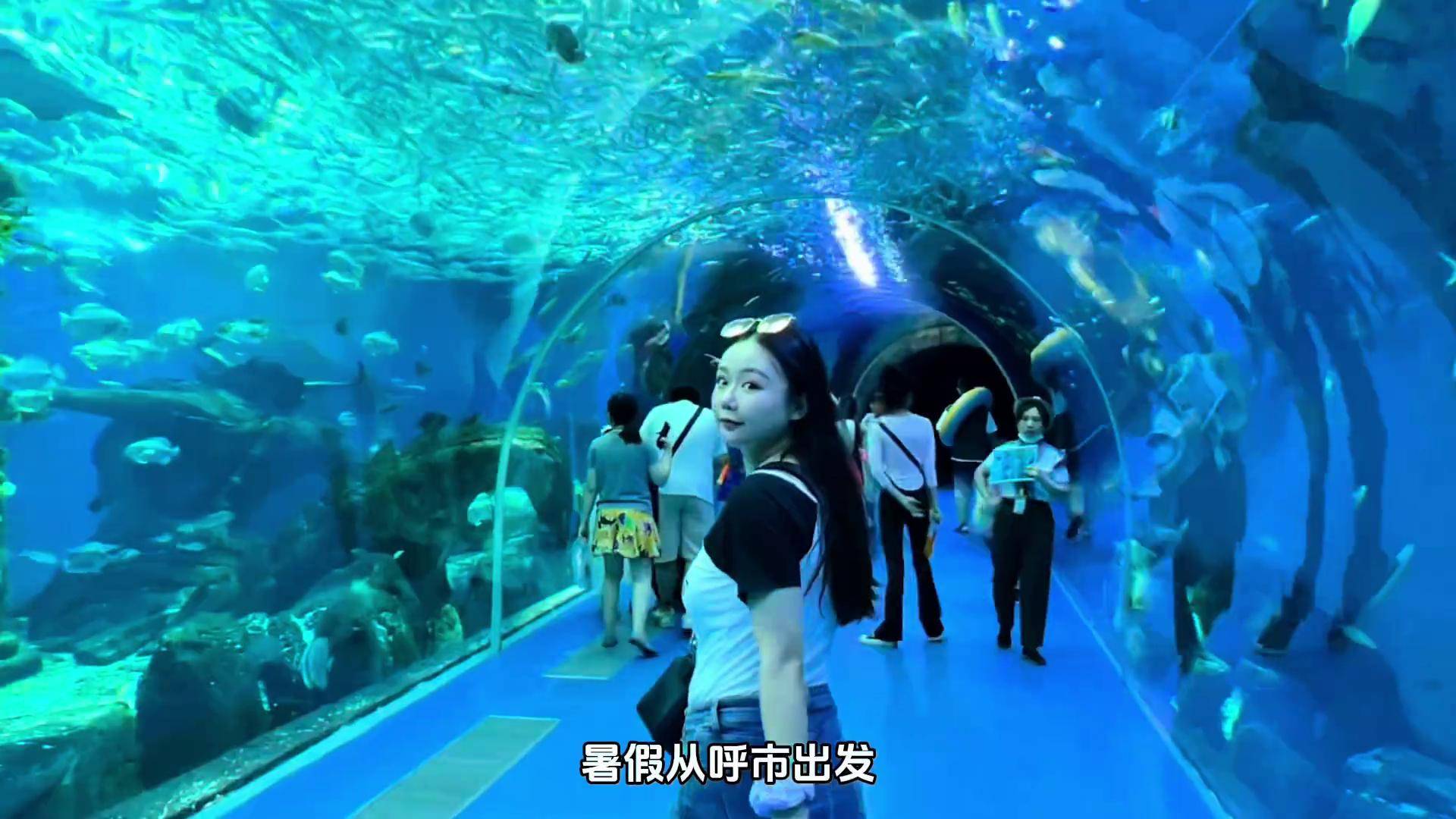 开云中国-包含水下足球盛典，海底世界的运动狂欢的词条