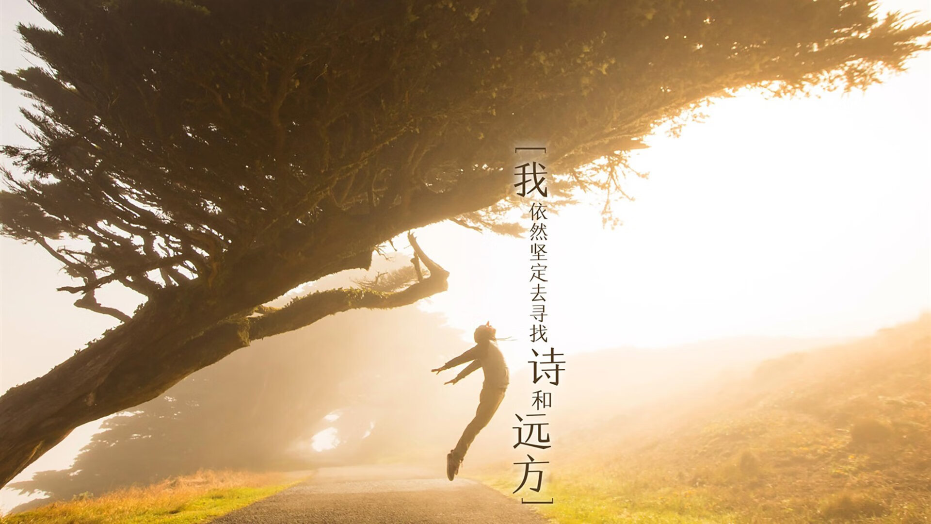 “足球场馆智慧化管理，提升比赛效率”，足球场运营管理方案