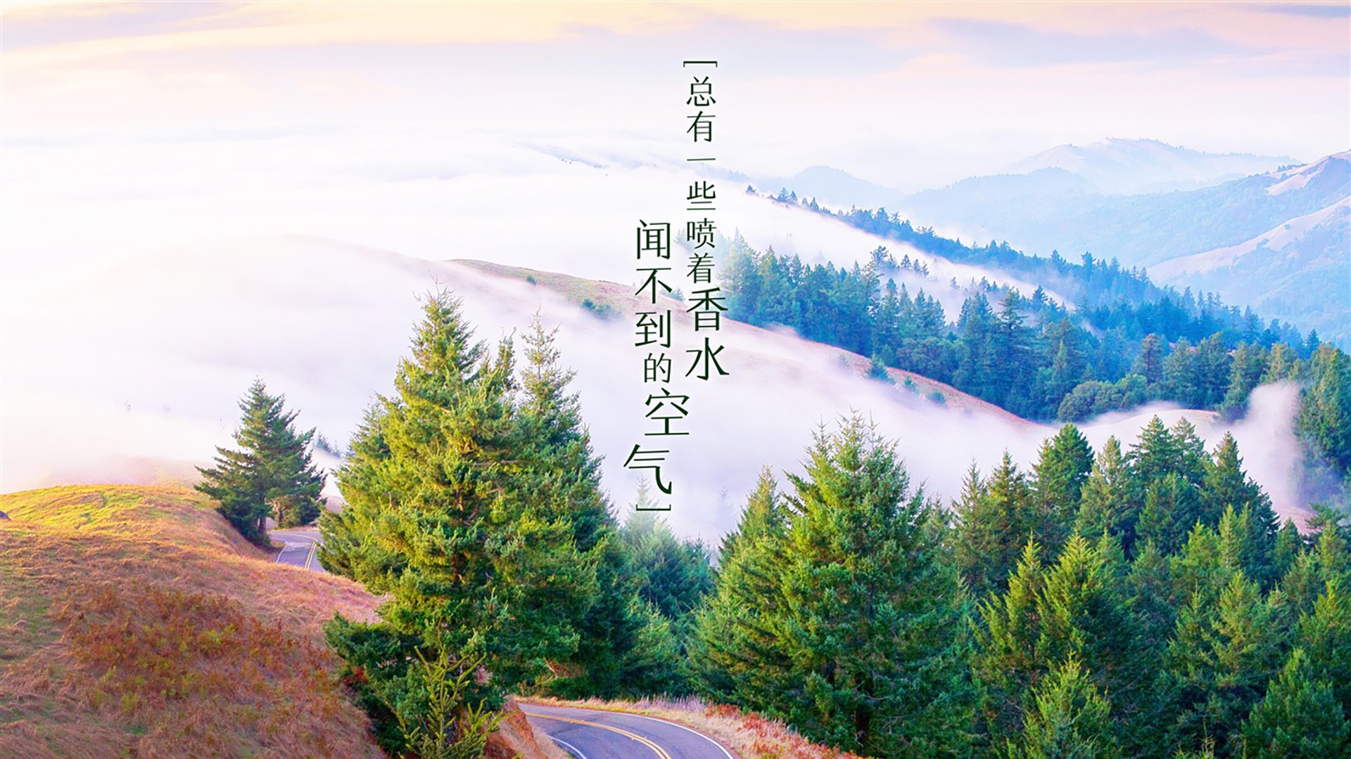 kaiyun官方网站-哥伦比亚女足在巴黎奥运会上击败多支强队，哥伦比亚男足