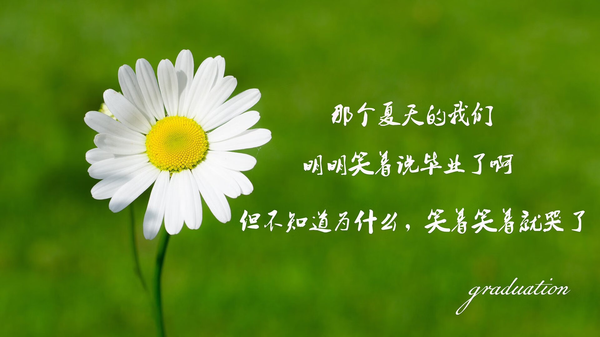 巴萨客场2-0战胜莱万特，继续保持不败纪录，巴萨对战莱万特