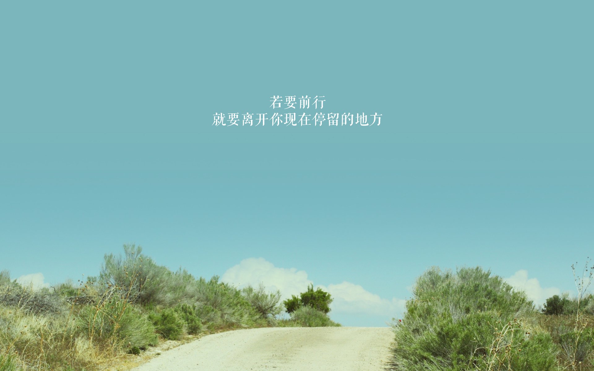 开云·体育官网APP下载-足球比赛中哪支球队将成为黑马冲到前列？，足球什么联赛最厉害
