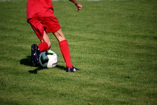 kaiyun网站-中国篮球职业联赛俱乐部青训体系建设与实践探索，篮球青年训练营