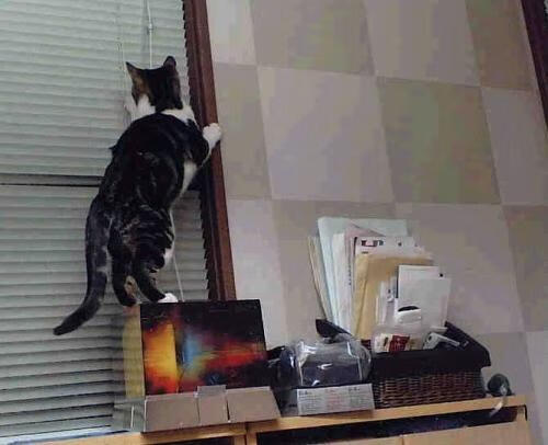 kaiyun官方网站-朱婷专访中分享比赛中心态调整技巧，朱婷发挥