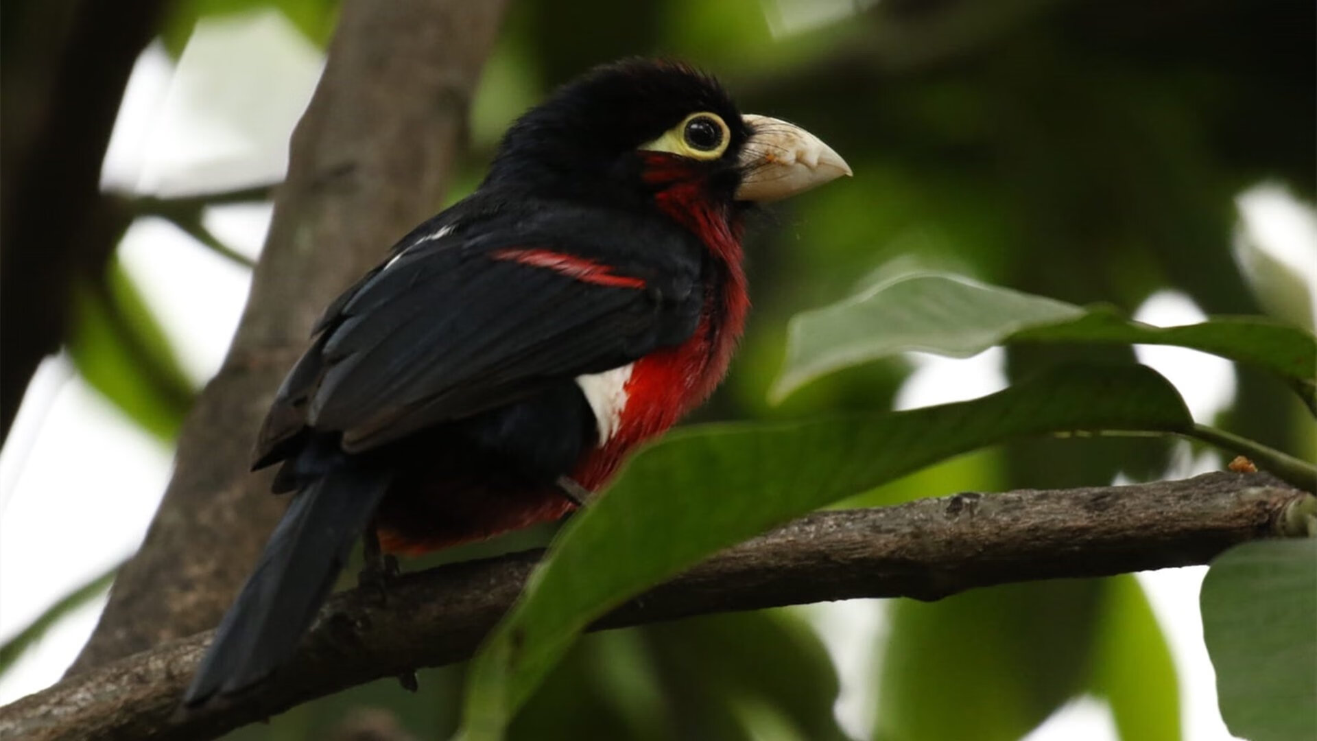 开云入口-英超终极冲刺：每场都孕育奇迹，英超 满场