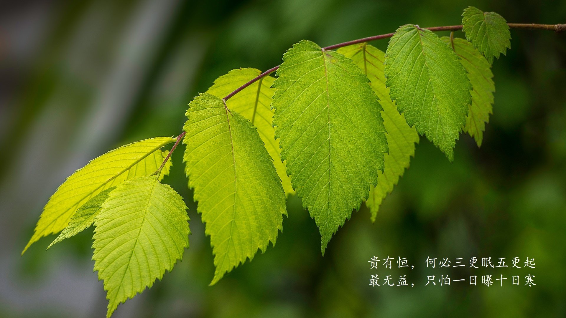 开云体育APP下载-魔术宣布签约老将加强更衣室领导力，魔术师换衣服