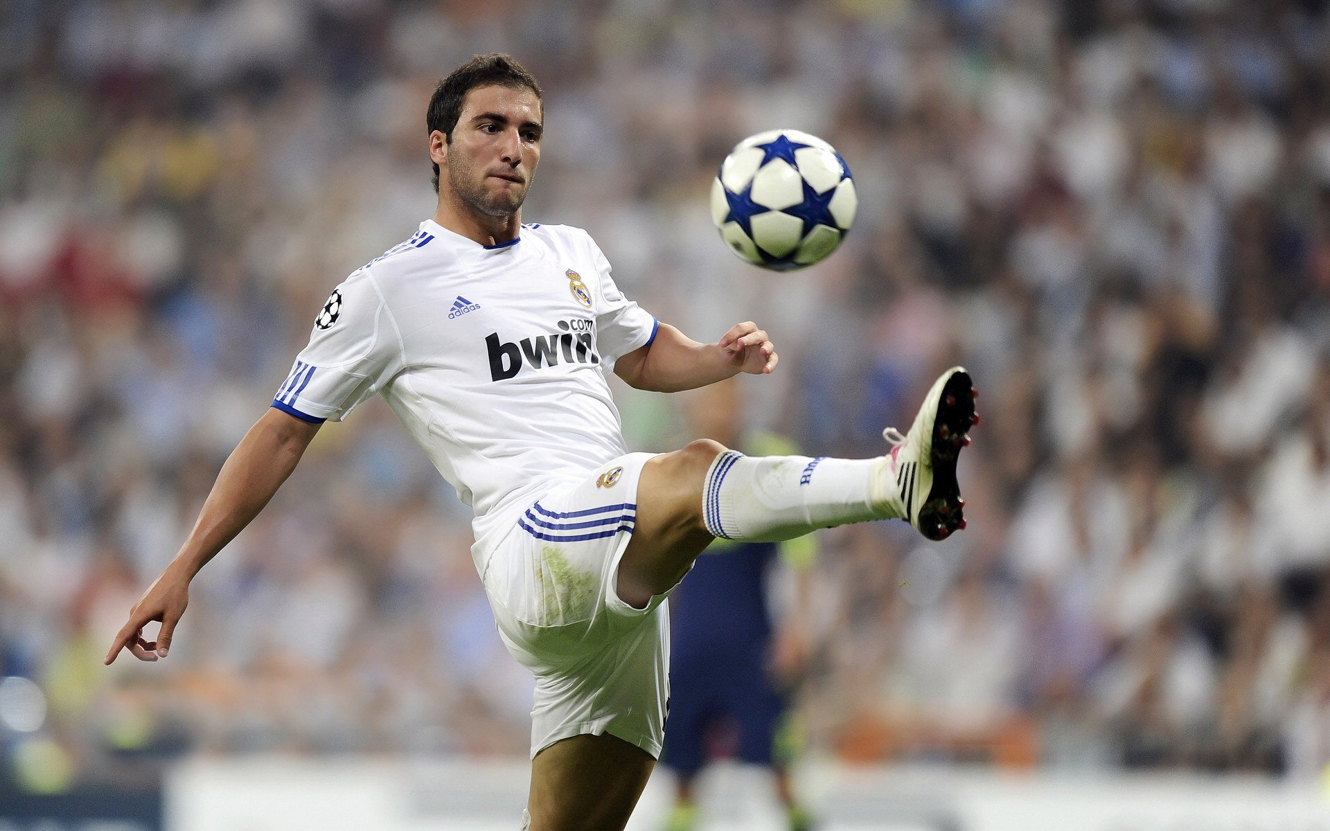 开云·体育官网APP下载-摩洛哥队在巴黎奥运会上展现出强大的团队协作能力，摩洛哥申办奥运会